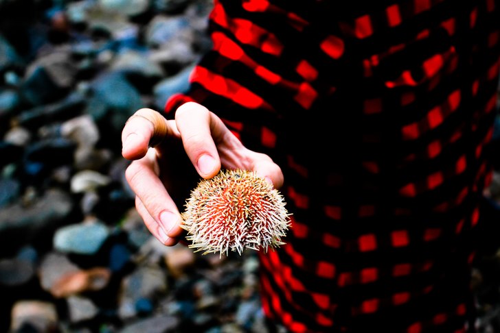 Foto: Christine Hargin. Åkare: Taggboll.