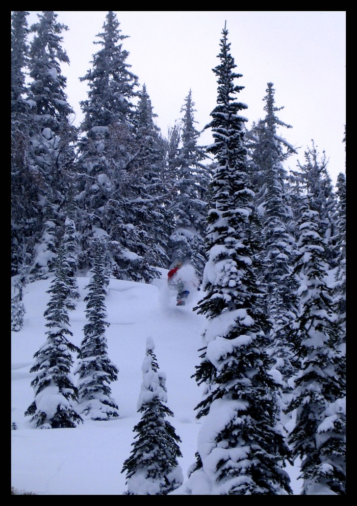 Foto: Tobias Thrysen. Åkare: Daniel Forsberg.