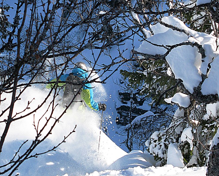 Skogen nedanför Borgahelags, en härlig dag med M. Foto: Alvaro Susena. Åkare: Sven X Olofsson.