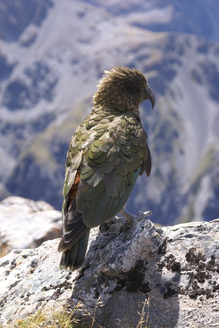 Foto: sara mattsson.