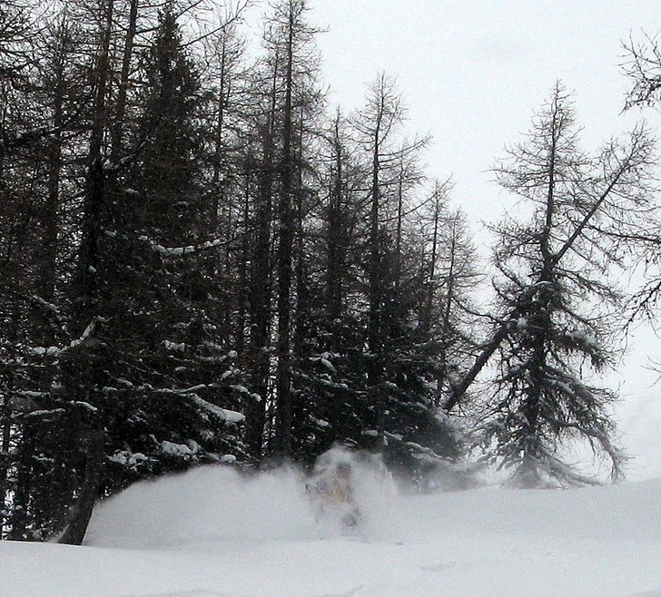 Djupt nr 2 i lärkskogen. Foto: Sture Ågren. Åkare: Peter Karlsson.