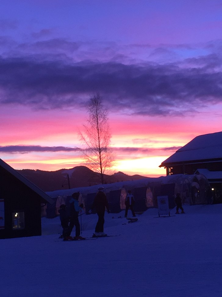 Nydelig morgen.
I dag har vi en helt fantastisk so.