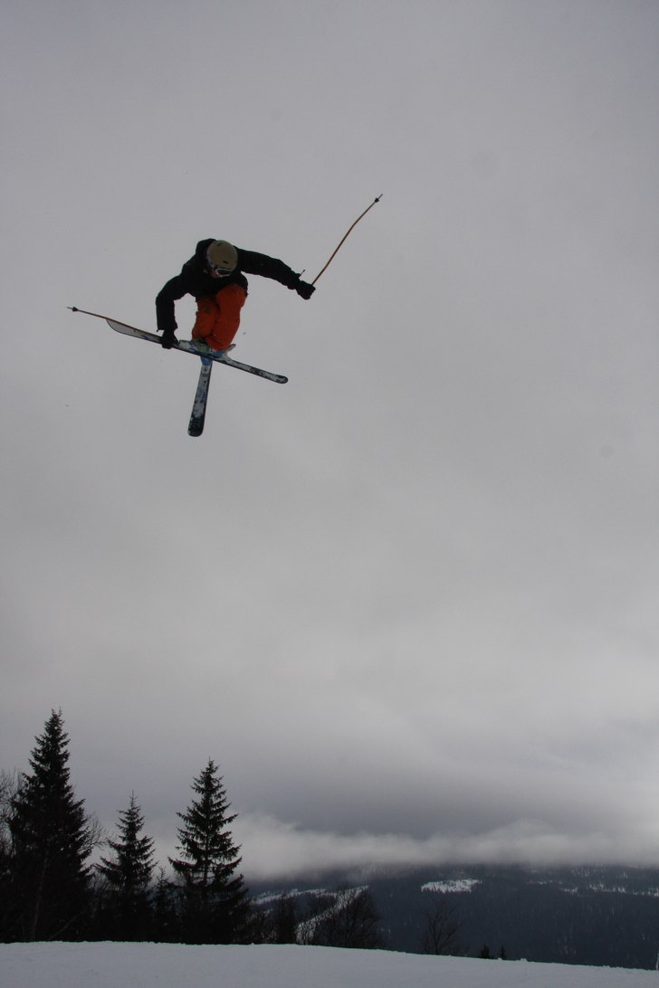 Sw. 10 med mute. Foto: Ulf Sedlacek. Åkare: Magnus Granér.