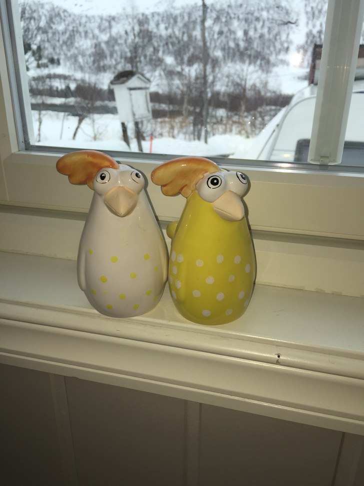 God påske
Påskekyllingene gleder seg til ta imot.