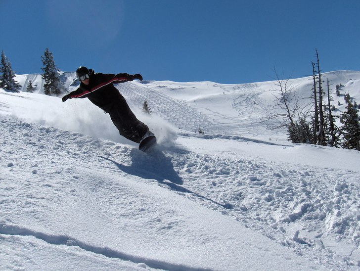 Foto: Jonas. Åkare: Morra med moset.