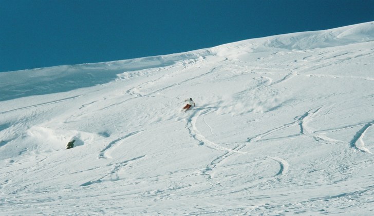 Foto: Oskar Bröske. Åkare: Alina Bergmark.
