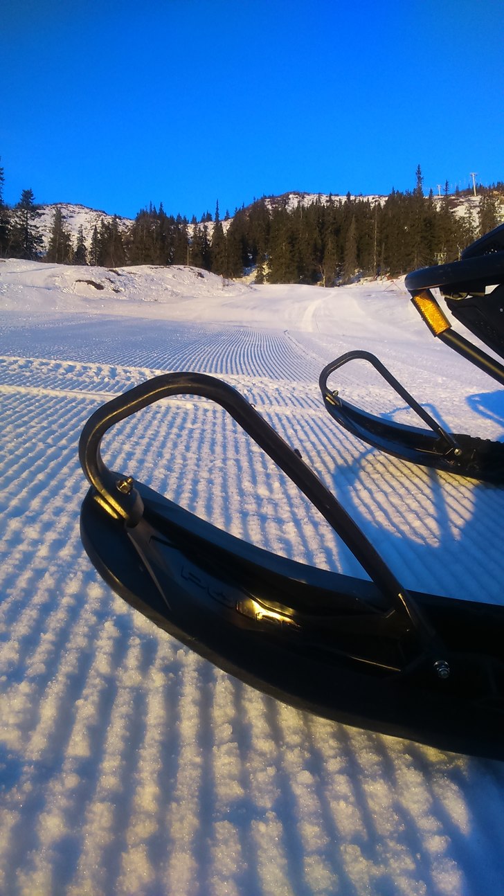 Strålende vintersol 
Godt nytt skiår:-) Nypreppe.
