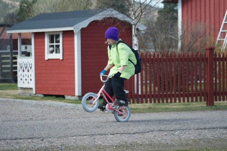 Foto: Aron Hed. Åkare: linus.