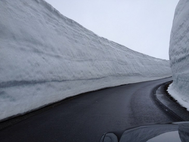 Foto: Erik Olausson.