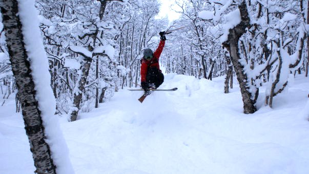 Skutt i skogen. Foto: martin höglund. Åkare: Anders Mangs.
