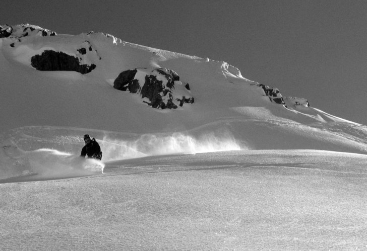 Foto: Kalle Jonasson. Åkare: Chewbacca.