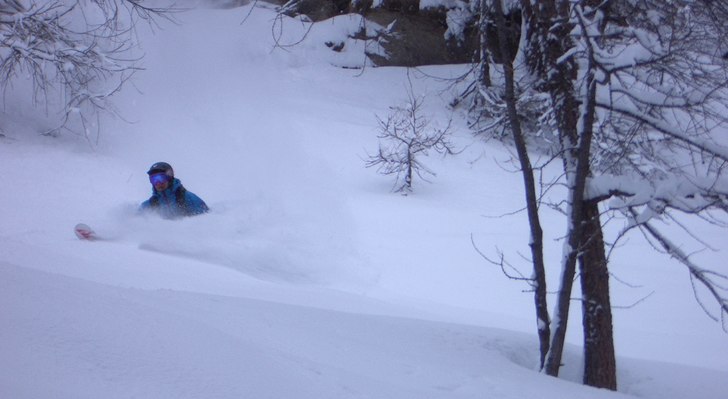 Henke kryssar ner bland träden. Skogsåkning är . Foto: Robert Hortlund. Åkare: Henrik Liljeqvist.