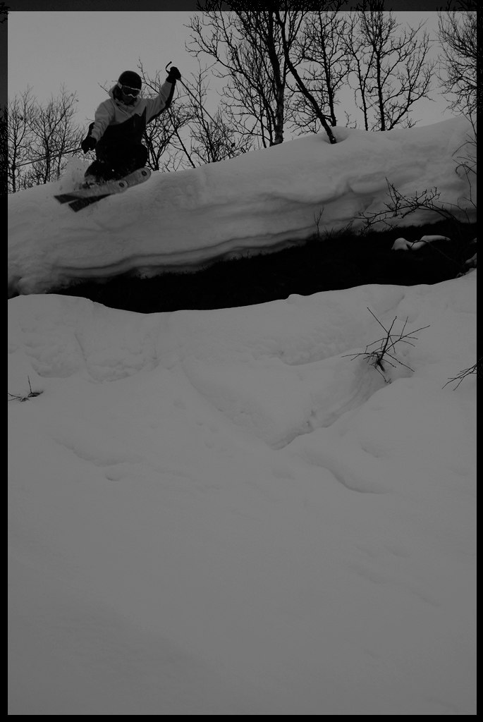 Foto: Ebony. Åkare: Johan Olsson.