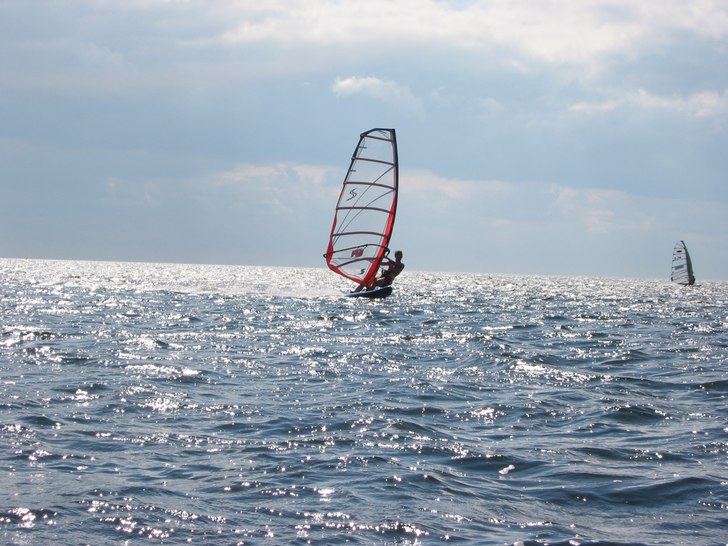 Foto: Stefan Alsved. Åkare: Leo ALsved.