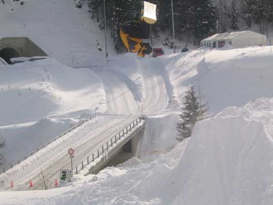 Jag och aporna.. Foto: Johan Värn. Åkare: Martin Fredriksson.