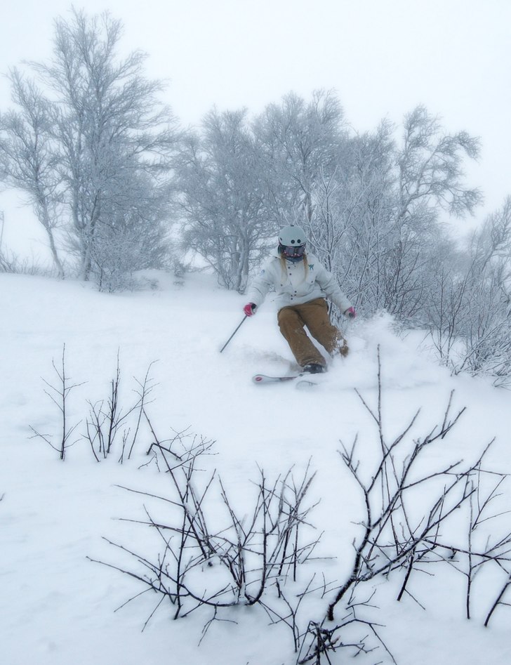 Foto: johan olsson. Åkare: hanna skogsberg.