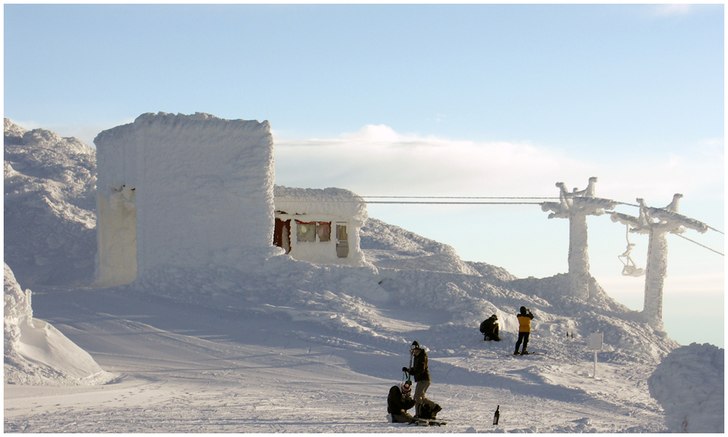 Foto: Conny Bergqvist. Åkare: Fruset.