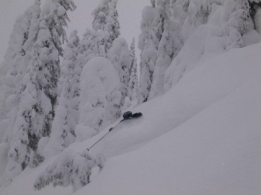 Foto: Magnus Nerman. Åkare: Lars Roth.