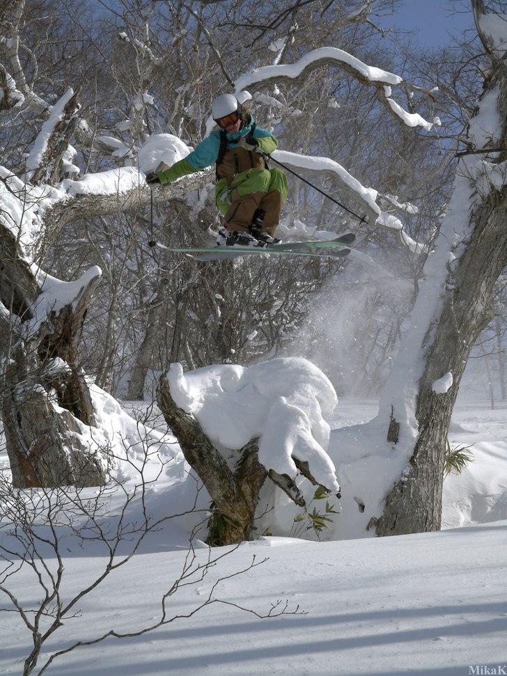 Jumping over the tree. Foto: Mika Kankainen. Åkare: Mikko Rapeli.