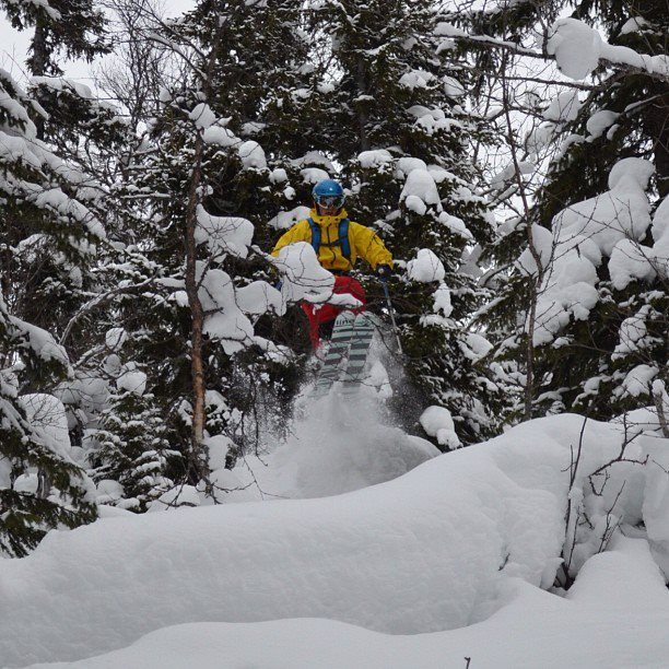 Foto: Michael Ek. Åkare: Mattias Vestring.