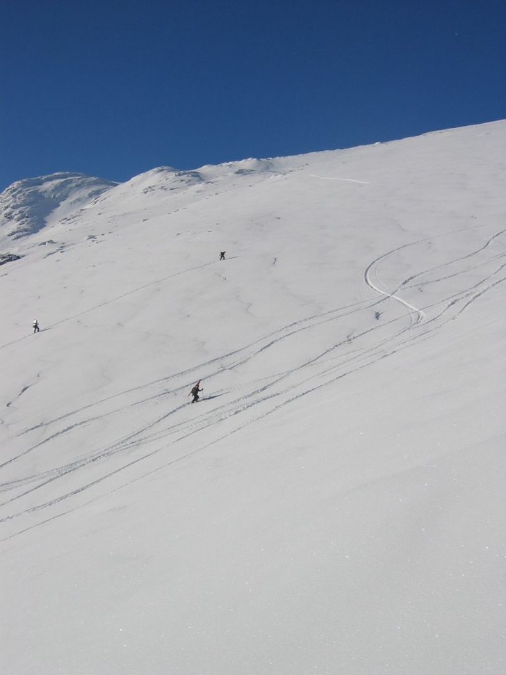 Foto: Johan Darle. Åkare: Oscar Darle.