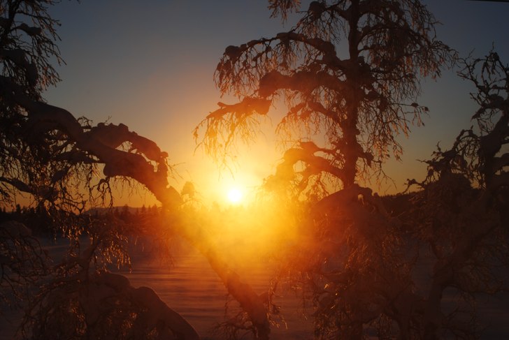 Foto: Linn .