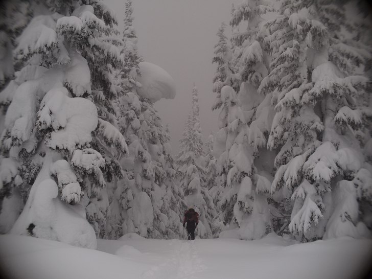 Foto: Jesper Petersén. Åkare: Tobias Andersson.