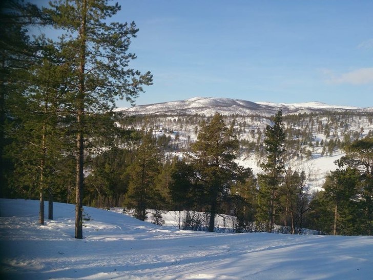 Nydelig vær i dag.
0 grader og sol. Forsmak på v.