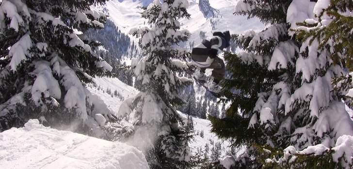 Treejump. Foto: Horgmo. Åkare: ABO.