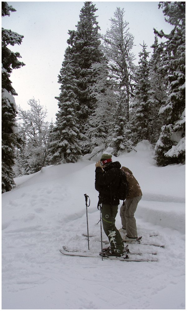 Foto: Conny Bergqvist. Åkare: Markus Leanderson, Elli.
