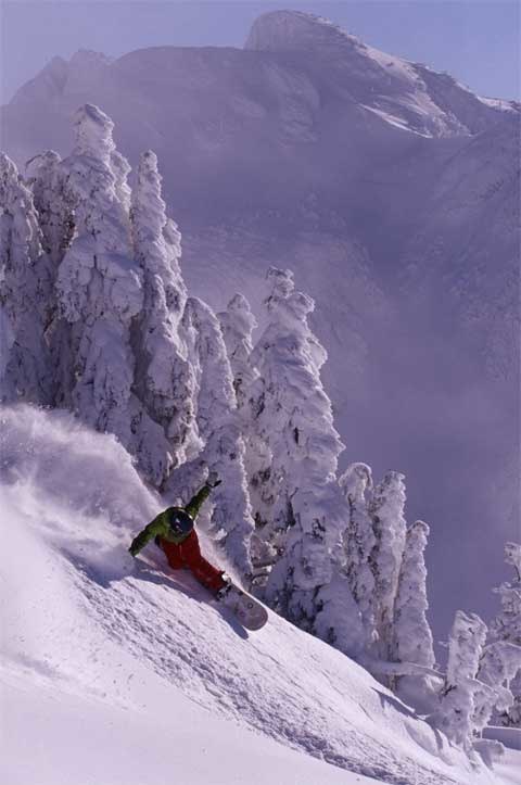 Foto: Therese Lundgren. Åkare: Ruth.