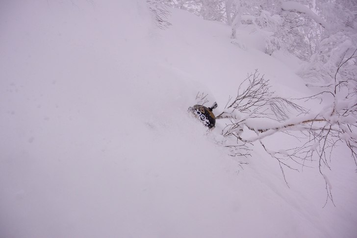 Deep Powder somewhere in Japan. Foto: Stuart. Åkare: Andreas Ericson.