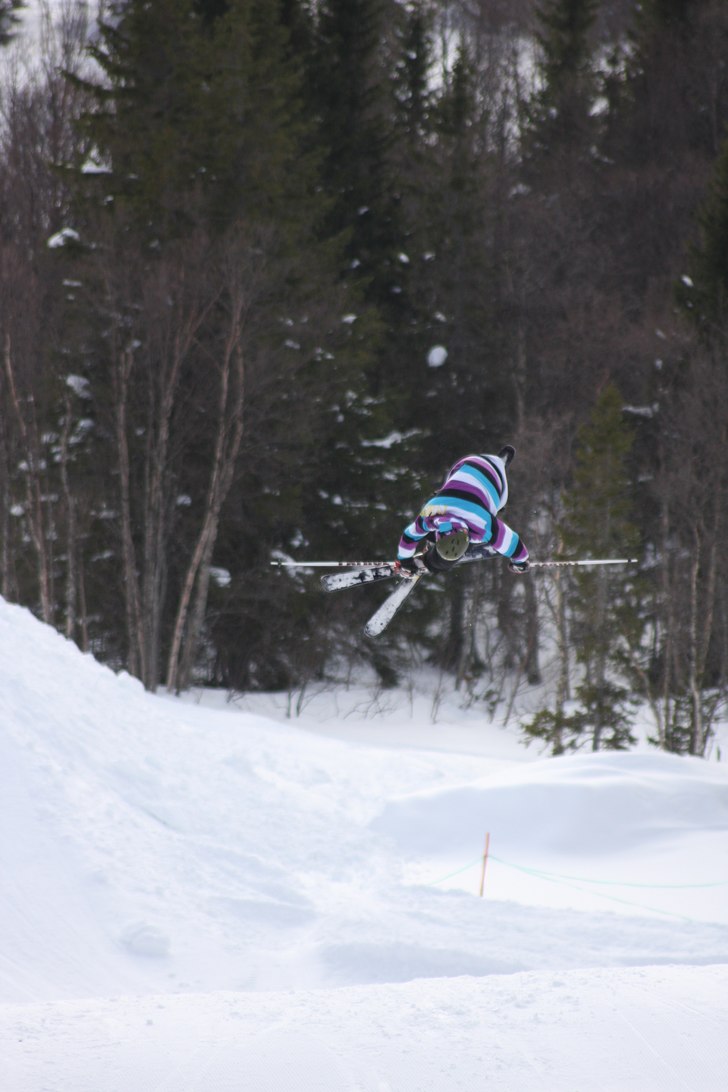 cork 9 med en pokad mute. Foto: Ulf Sedlacek. Åkare: Tobias Sedlacek.