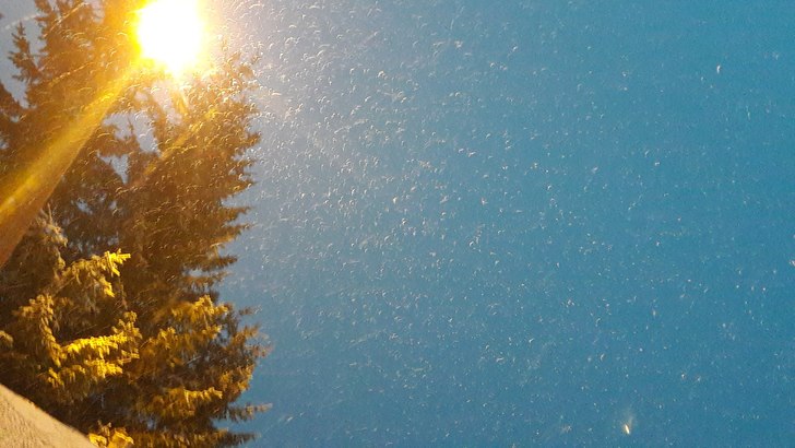 Det snør på fjellet
Fint skiføre i bakken!.