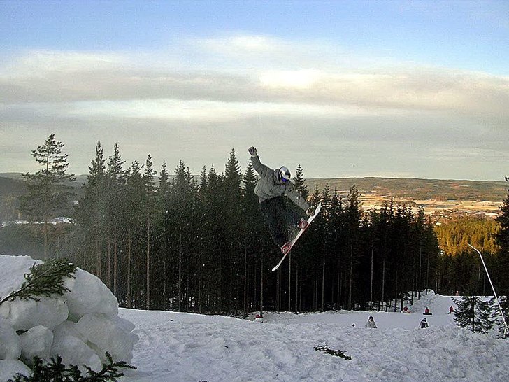 Romme. Foto: Robin Eriksson. Åkare: Fredrik Löwenhamn.