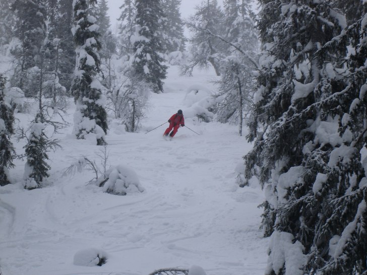 Det var grymt med snö i sälen.. skönt åk, dock. Åkare: Martin Koitrand.