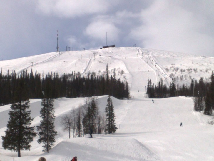 Foto: Alina Bergmark.