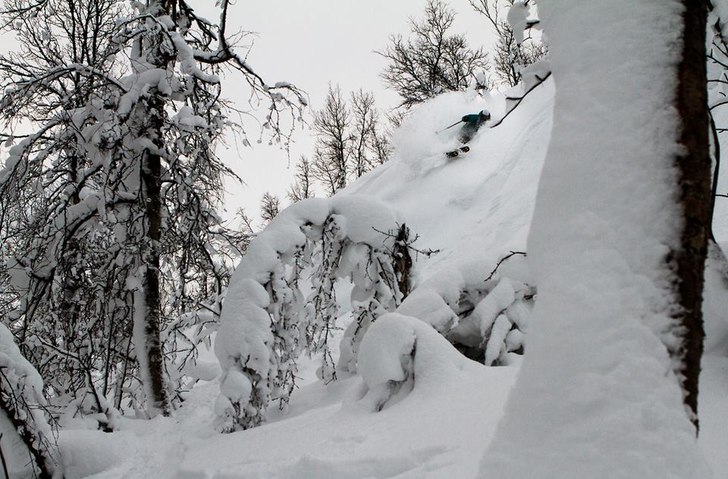 Foto: Olov Strandqvist. Åkare: Daniel Harila.