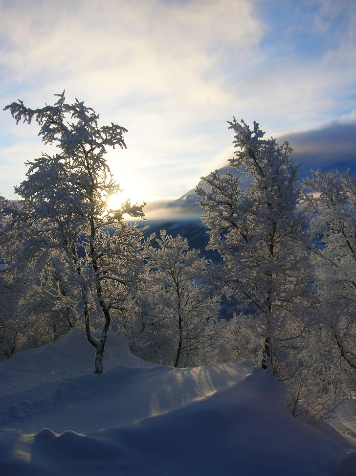Utsikt från hotellfönstret i Björkliden v7 2009. Foto: Stina Nero.