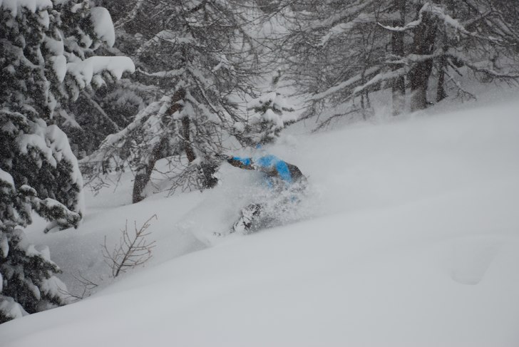Brädan åkte fram i pudret. Foto: Martin Wikström. Åkare: Adam Jonsson.