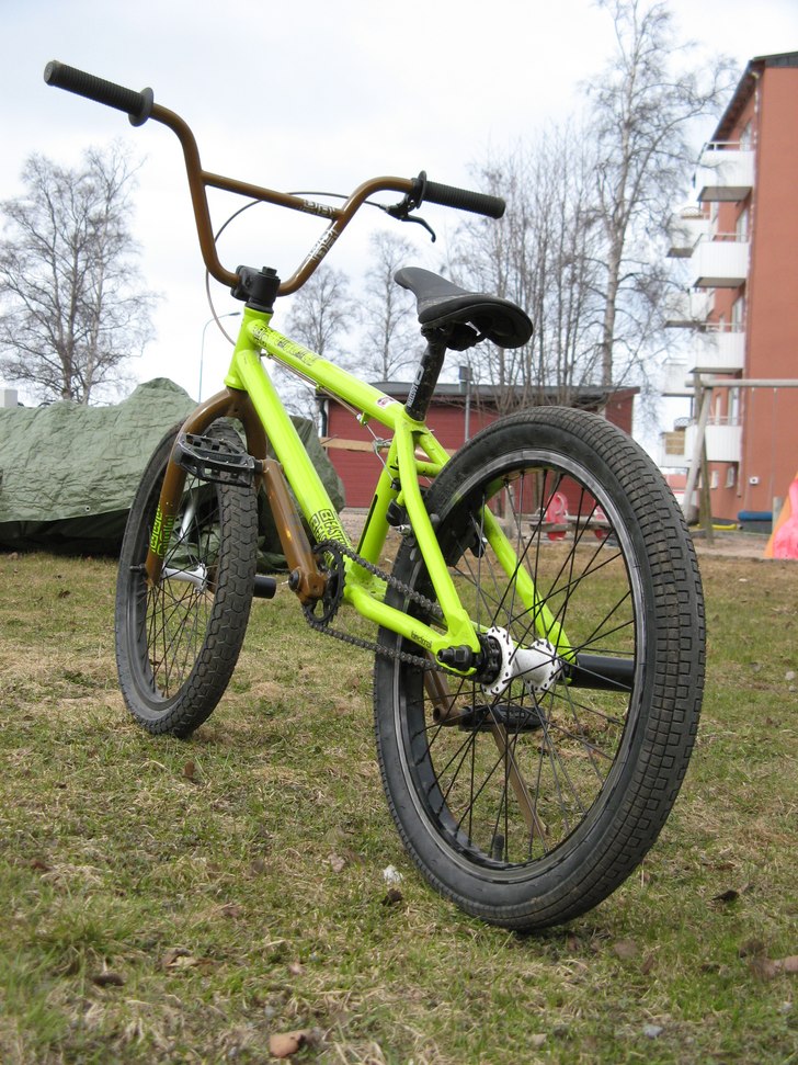 Eastern shovelhead -08. Foto: Viktor Olofsson.