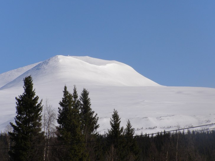 Foto: Frida Herndal.