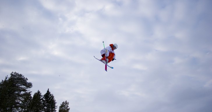 sw 7 mute. Foto: danne ?. Åkare: WilliamS.