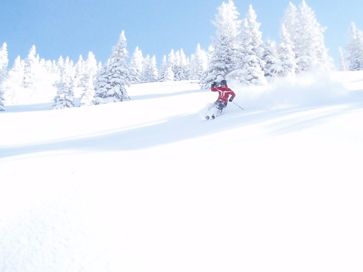 Dagen efter snödump blev det lite härlig skogså. Foto: Mikael Ekström. Åkare: Måns Ekström.
