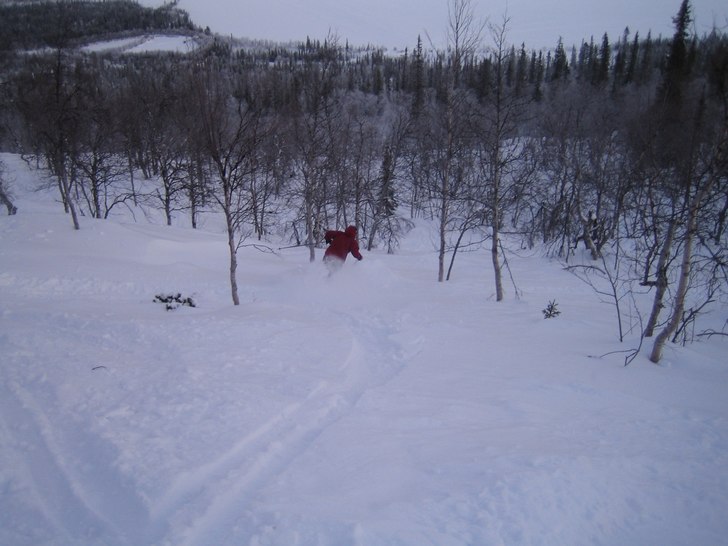 Foto: Oscar. Åkare: Gustav Johansson.