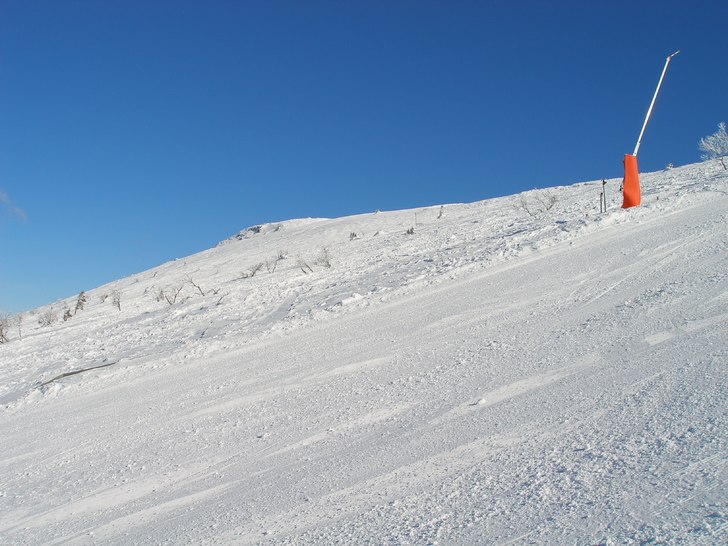 Foto: Fredrik Åkerblom.