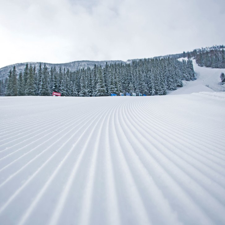 Nysnø og fine forhold
Hemsedal fikk 9 cm nysnø s.
