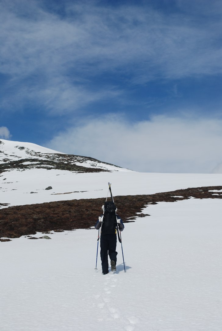 Sista toppturen vid Storulvån och Getryggen.. Foto: Sofia Sköld. Åkare: Johan Sköld.