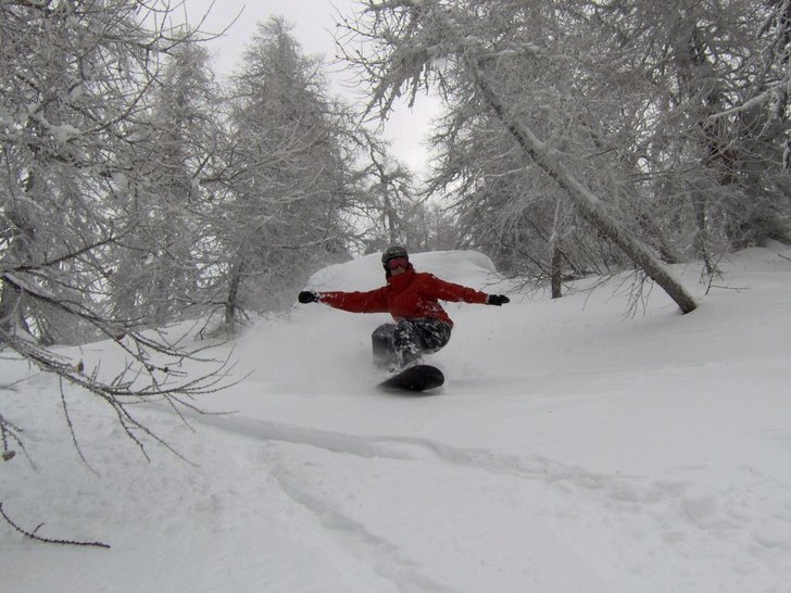 Skön snö mellan träden. Foto: Sebbe. Åkare: Jag.
