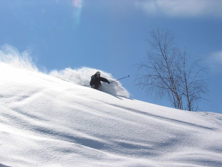 Denna magiska dag utforskades Japanska skogen i Va. Foto: Lintan Hougland. Åkare: Peter Subán.